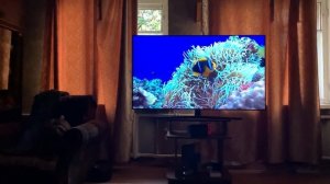 Samsung UE65TU8500 / Впечатления от покупки