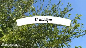 Дни СИЛЫ в НОЯБРЕ 2022. Самые благоприятные дни месяца. Что нужно успеть...