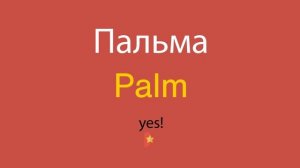 Пальма по-английски