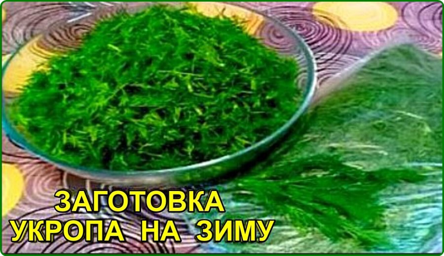 Икра на зиму рецепты укропа