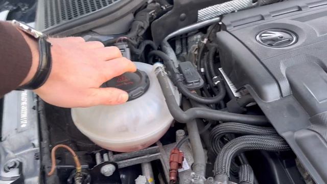 Збережена Skoda Octavia A7 2019 смотреть онлайн