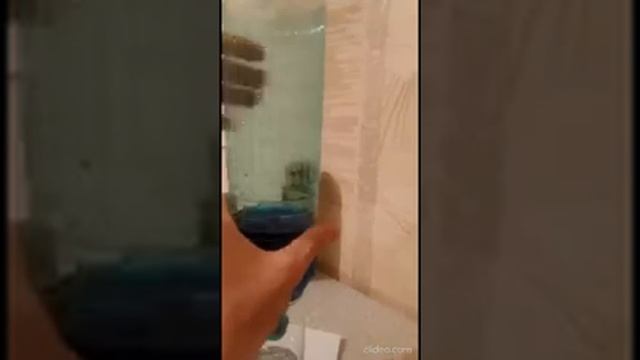 Вата или фильтр