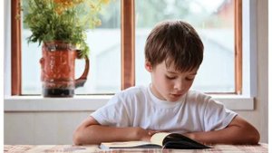 Планирование уроков на СО: элементарно