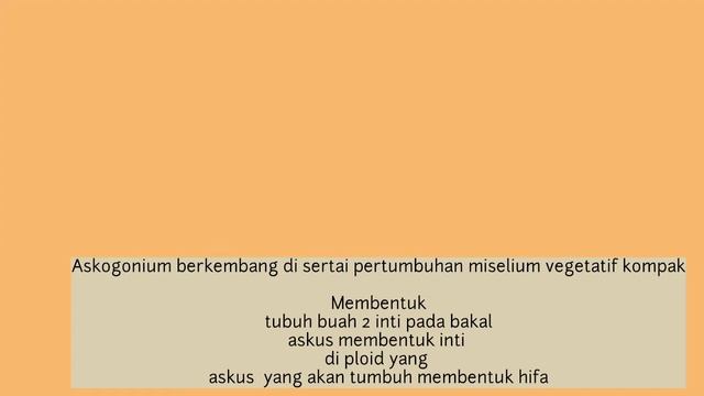 SIKLUS HIDUP ASCOMYCOTA DAN BASIDIOMYCOTA SERTA PERBEDAAN NYA смотреть онлайн