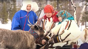 Полярные истории: «В мгновении застывший «БЕГУЩИЙ СОБОЛЬ» || Часть 5