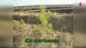 ♪ ОЙ, СЮЛМЫ, СЮЛЭМЫ Надежда Уткина (КАРАОКЕ)