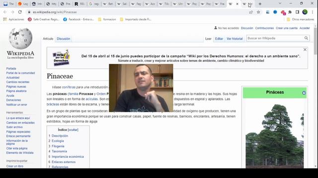 Comer CAMBIUM o MERISTEMO de un ÁRBOL para no morirte de hambre смотреть онлайн