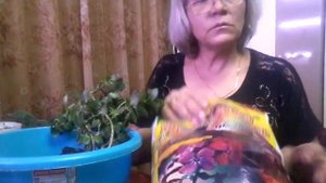 Каланхоэ - пересадка, правильно поливаем, составляем грунт, удобряем - многолетний опыт.