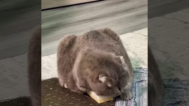 Не влазЮю.