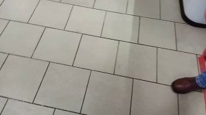 Покупаем Кота Матроскина В Магазине Магнит.