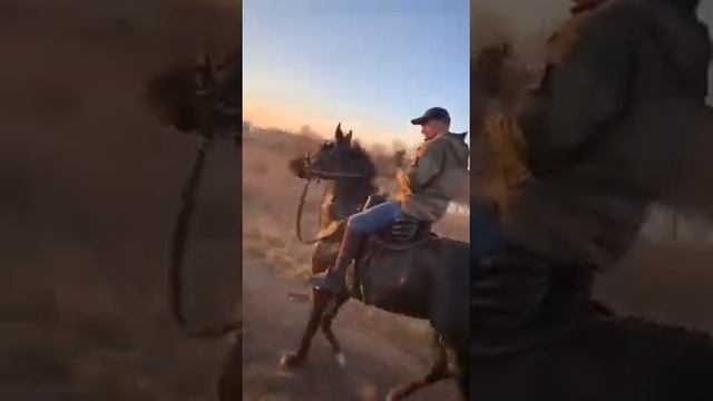 Кабардинская порода(1)