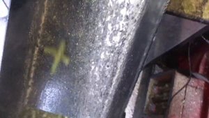 Гранулятор DR 200 Подвижные Ролики Гранулируем Травяную Муку Люцерны! Granulati Alfalfa Herbal Flou