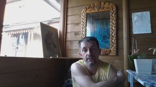 ДОМАШНЕЕ СОДЕРЖАНИЕ СВИНЕЙ
