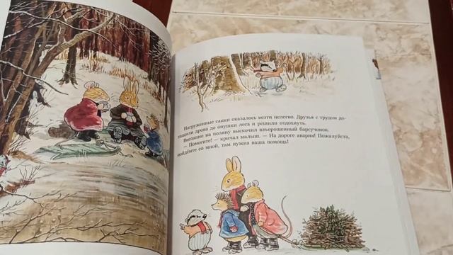 Микро обзор детской книги "Чудеса в зимнем лесу " Брайан и Синтия Патерсон изд. Качели. смотреть онлайн