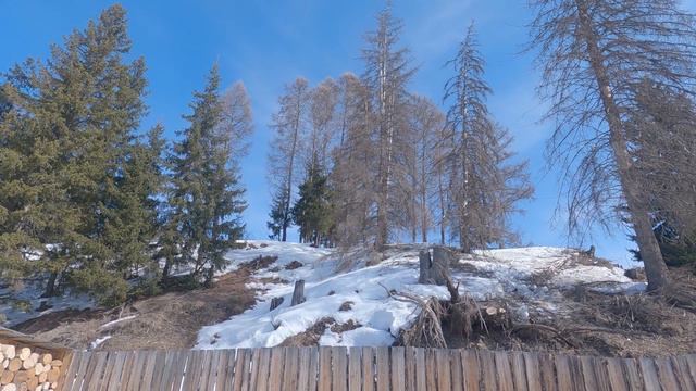 Убираю сухостой рядом с домом. Жизнь в деревне. смотреть онлайн