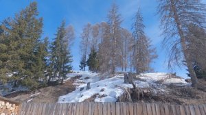 Убираю сухостой рядом с домом. Жизнь в деревне.