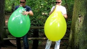 balloon contest - blow to pop race - B2P – Swan 24"