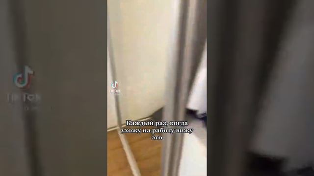 Самые лучшие приколы с животными/ Смешные коты и собаки 2021 смотреть онлайн