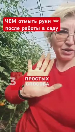 ЛЕГКО и БЫСТРО вернете рукам красоту (после дачи)