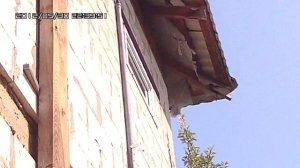 Борьба с шершнями