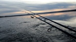 Природа и рыбалка  Амурской области