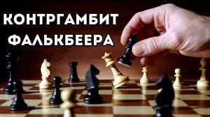 Как играть против Королевского гамбита? Контр гамбит Фалькбеера! Шахматная ловушка