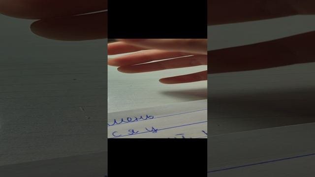 делаем паспорт для шлепы