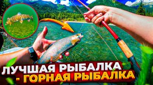 Увлекательная  рыбалка в Сибирской тайге. Горная рыбалка с Besha #1