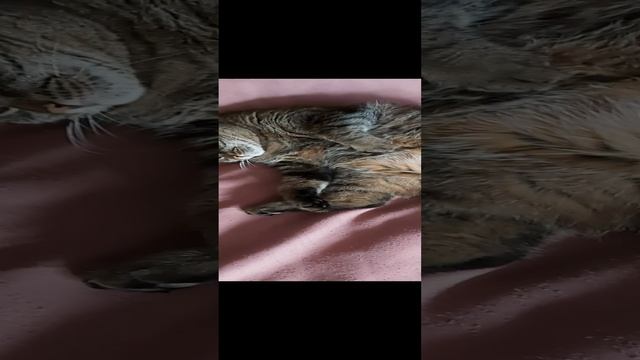 так не красиво!! смотреть онлайн