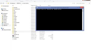 Euro Truck Simulator 2: scs.extractor archive.scs