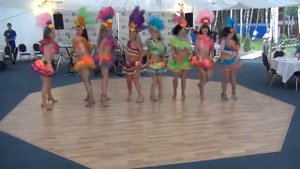 Бразильское самбо