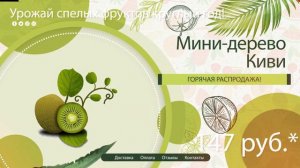 Выращивать черешню дома круглый год