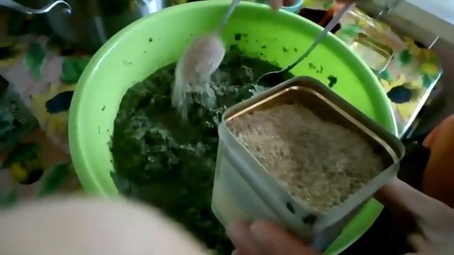 Зеленый корм с рыбой и креветками для рыб своими руками