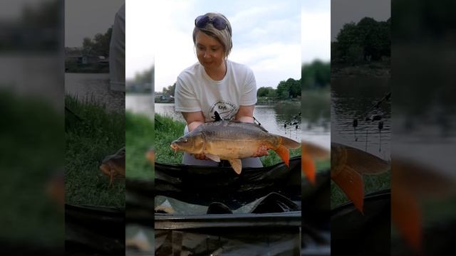 Беседка у озера. Рыбалка и отдых жуковский. Жуковский, рыбалка москва река. Рыбалка быковка. Беседки на спартаке жуковский.
