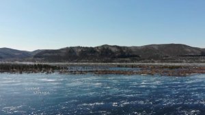 Остров "Голодный" ушёл под воду / Самарская лука #Samara #Russia