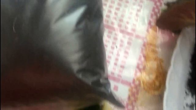 Фиалка после покупки. Что делать, чтобы растение не погибло??.. смотреть онлайн