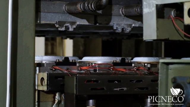 Производство тарелок из сахарного тростника Picneco смотреть онлайн