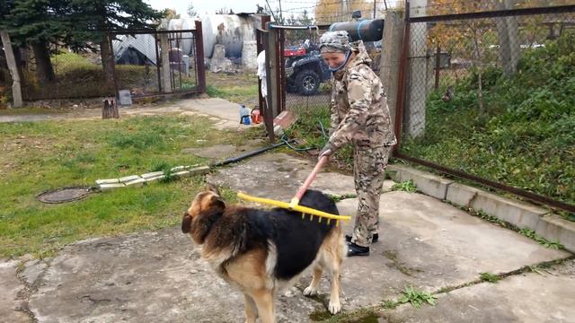 Почеши спинку! смотреть онлайн