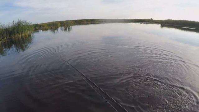 ВОТ ЧТО ЗНАЧИТ ЖОР ЩУКИ. ОСЕНЬ 2023. смотреть онлайн