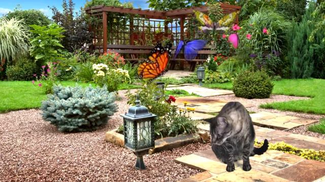 Детская песенка про животных. смотреть онлайн