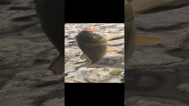 10-05-2024 смотреть онлайн