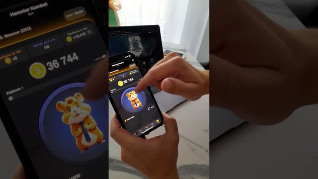Hamster Kombat Инструкция ДЛЯ Новичков. Самая Быстрая Прокачка Hamster Kombat новый ноткоин  без вод