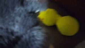 НА ВОЛКА НАПАЛА БАБАЙКА 2!