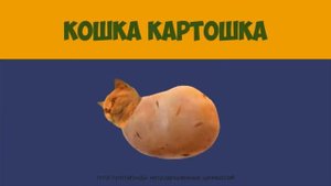Кошка картошка. Крыска ириска.
