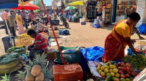 #13 НАСТОЯЩИЙ ИНДИЙСКИЙ РЫНОК ДЛЯ МЕСТНЫХ В ЧАУДИ. АГОНДА ПОЧТИ ПУСТАЯ. САНСЕТ на ПАЛОЛЕМЕ.Индия2021