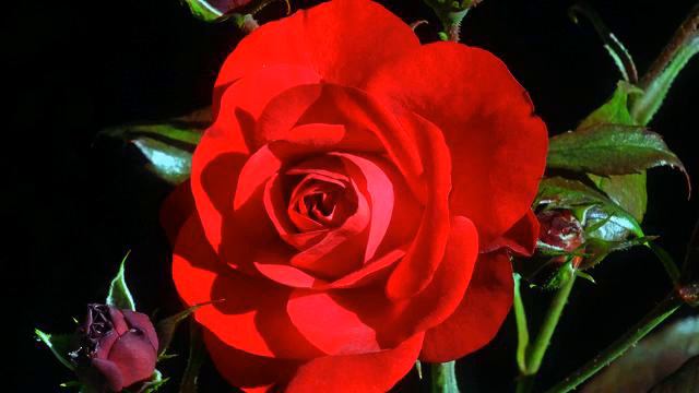 красивая музыка востока смотреть онлайн