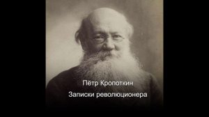 Записки революционера часть 4 (аудио)