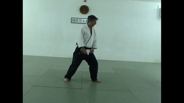 Sin Moo Hapkido Technique Training Program смотреть онлайн