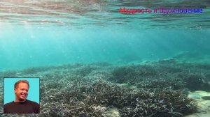 Это Работает на 100! Джо Диспенза обьясняет как стать богатым