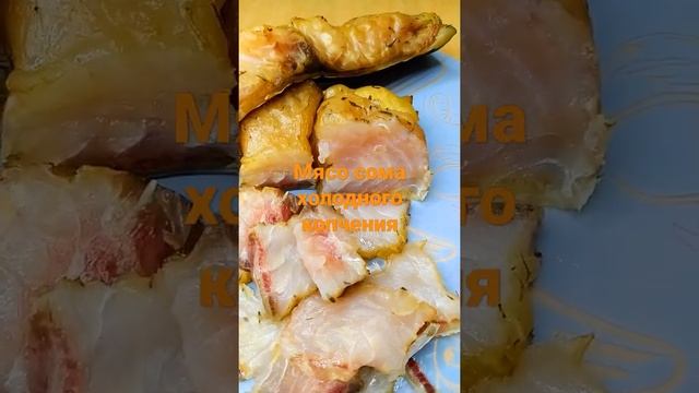 мясо сома х/к